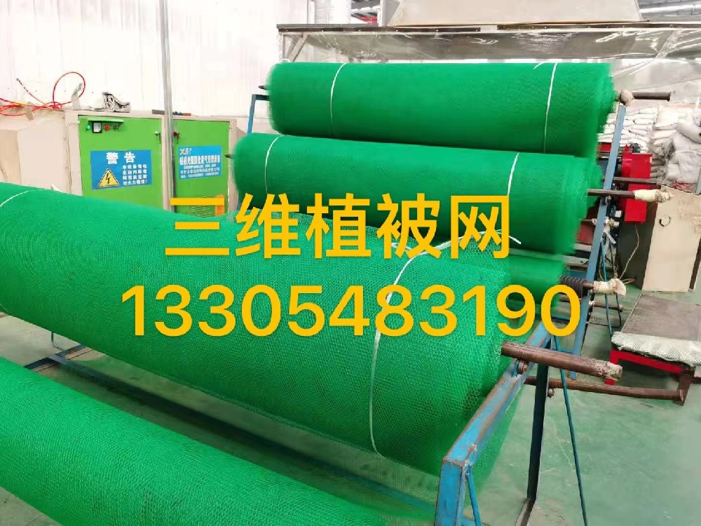 安顺EM3三维植被网-护坡三维网垫厂家规格齐全